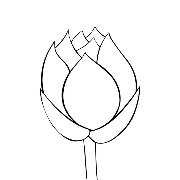 Lotus lily water - Vector, Image