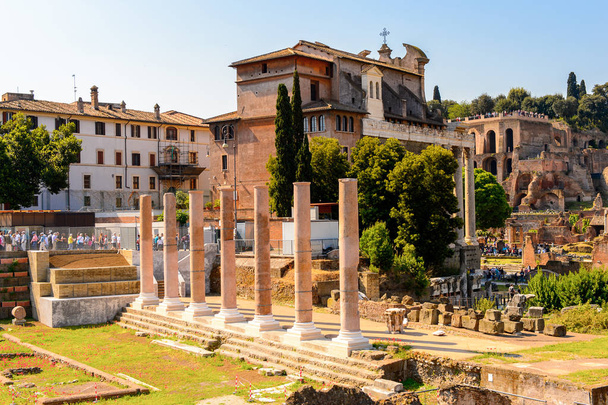 ROME, ITALY - MAY 7, 2016: Roman Forum, a rectangular forum surrounded by the ruins of several important ancient government buildings at the center of the city of Rome. - Foto, imagen