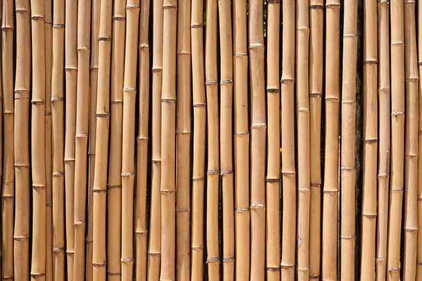 Recinzione in legno di bambù texture di sfondo naturale
 - Foto, immagini