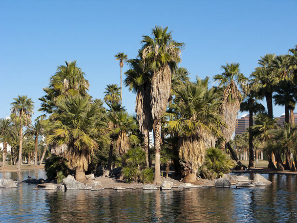 Näkymä Lumottu saari ja kaupungin Phoenix keskustan rakennuksia loch Encanto Park, AZ
 - Valokuva, kuva