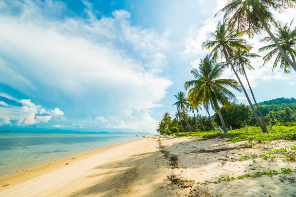 Kaunis trooppinen ranta ja meri kookospalmulla paratiisisaarella
 - Valokuva, kuva