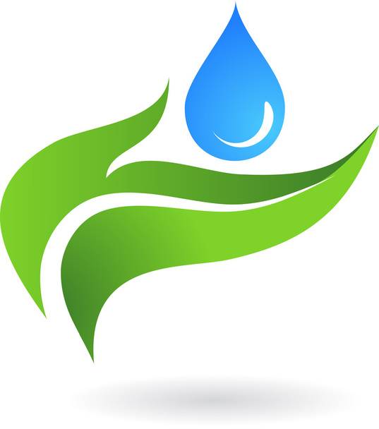 Water drop with three leaves - Vector, Image