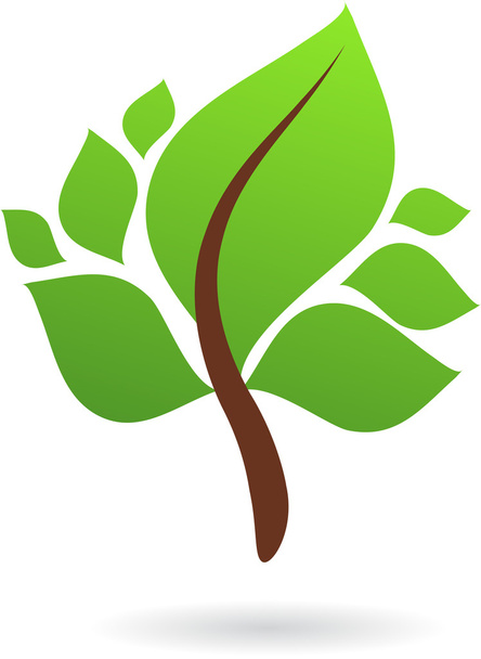 Ветка с зелеными листьями
 - Вектор,изображение