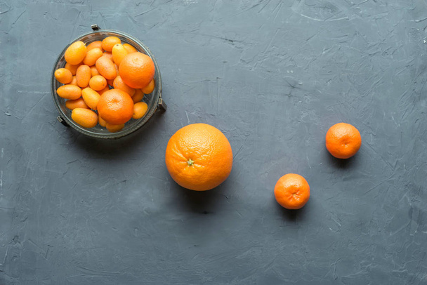 citrus fruits still life with knife and juicer on grey background - Fotó, kép