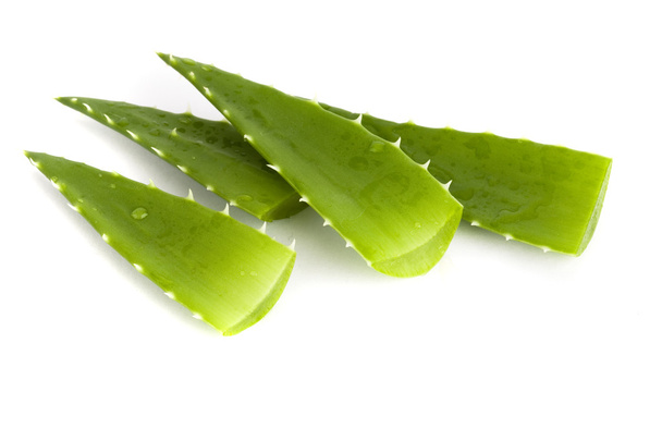 Aloe vera - Fotografie, Obrázek