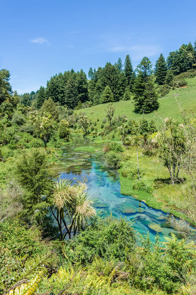 Blauwe lente die is gelegen op Te Waihou Walkway, Hamilton Nieuw-Zeeland. Het internationaal geprezen levert ongeveer 70% van Nieuw-Zeeland gebotteld water als gevolg van het zuivere water. - Foto, afbeelding
