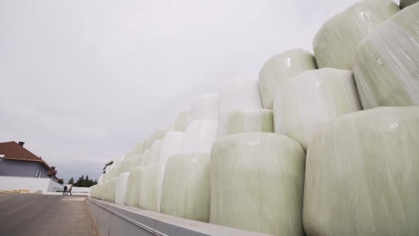 Bolsas con soporte de grano al aire libre bajo el cielo en el patio de fábrica
 - Metraje, vídeo