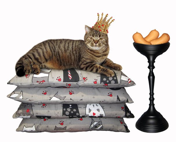 The cat in the gold crown lies on pile of pillows near a bowl of sausage. White background. - Photo, Image
