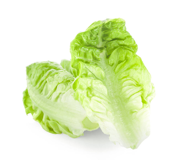 chinese cabbage isolated on white background - Foto, afbeelding