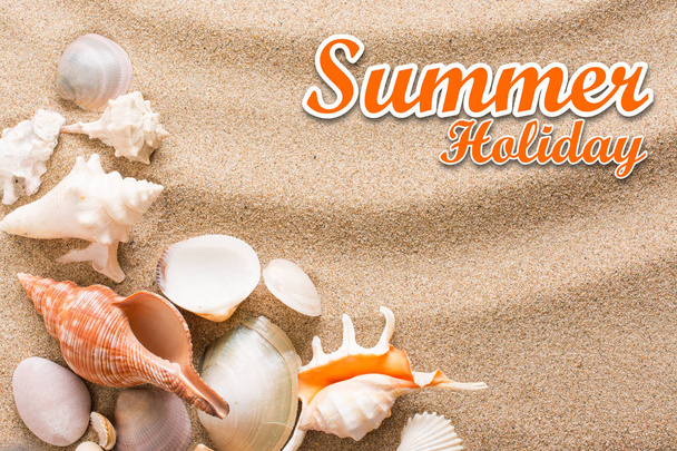fondo de vacaciones de verano con texto. Seashell en la playa
 - Foto, imagen