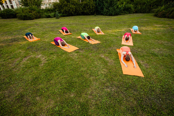 The group of yoga lovers - Fotoğraf, Görsel