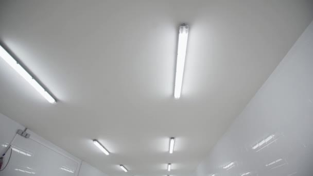 Ceiling of milk factory with lamps attached to it - Footage, Video