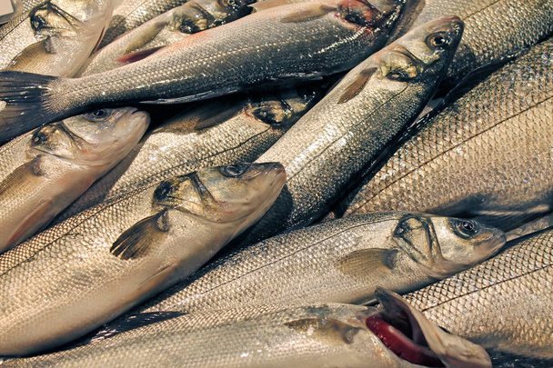 伝統的な魚市場で販売のための欧州ベース. - 写真・画像