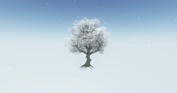 4 k een eenzame boom & wortel zwaaiend in de sneeuw, de woestijn in winter. - Video