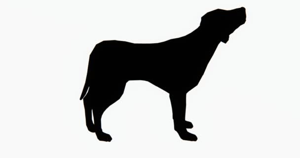 4 k σκυλί, 3d καρτούν, υπέροχο κατοικίδιο ζώο, ζώο σιλουέτα. - Πλάνα, βίντεο