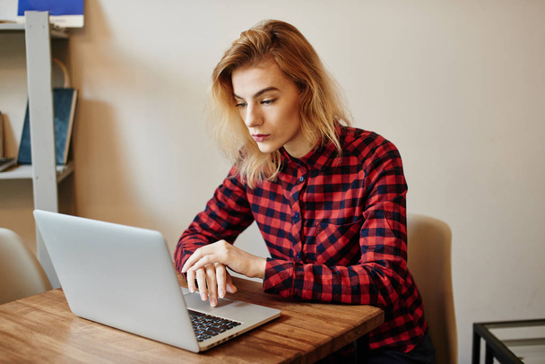 young blonde woman sitting at table with laptop in cafe  - Photo, image