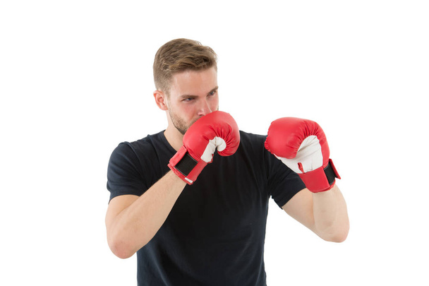 Full concentration. Sportsman concentrated training boxing gloves. Athlete concentrated face with sport gloves practice fighting skills, isolated white. Boxer handsome strict coach. Boxing concept - Foto, imagen
