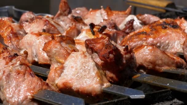 Dönerspieß, der in der Natur auf dem Grill zubereitet wird. Streetfood. Fleisch am Spieß gegrillt - Filmmaterial, Video