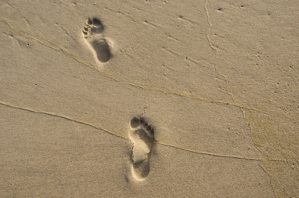 voetafdrukken op natte strand zand - Foto, afbeelding