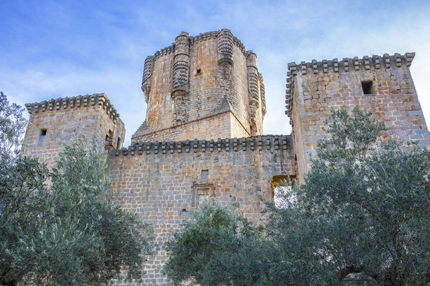Imponujący zamek Belalcazar między drzewa oliwnego, z najwyższą zachować wieża z Półwyspu Iberyjskiego, Cordoba, Hiszpania - Zdjęcie, obraz