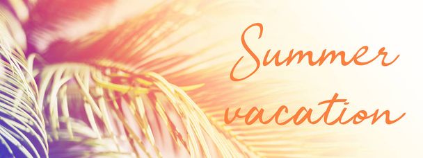Palmeras a la luz del sol con inscripción Vacaciones de verano
. - Foto, Imagen