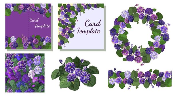 Set of flowering African violets (Saintpaulia) with flowers of different colors isolated on white background - Вектор, зображення