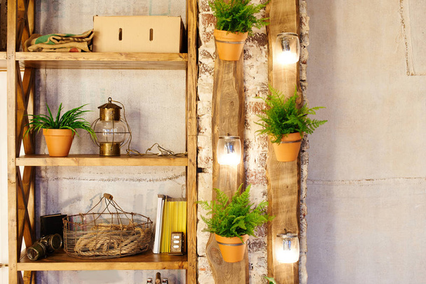 wall with wooden shelves made of old boards and plants in flowerpots - Фото, изображение