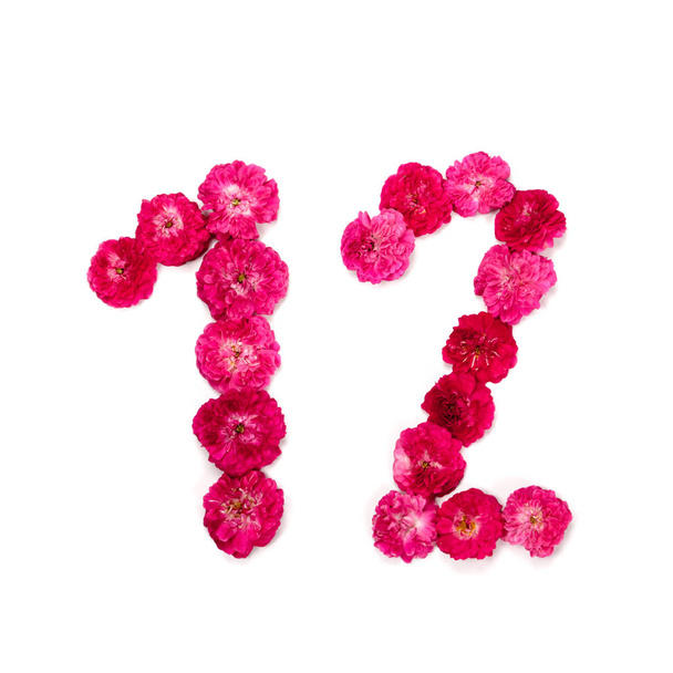 número 12 de flores de um vermelho e rosa aumentou em um fundo branco. Elemento tipográfico para design. Números de flores, data, isolado, isolado
 - Foto, Imagem