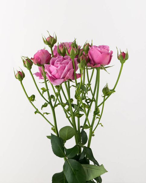 een bos van onbehandelde en onbehandeld roze bloemen op een witte achtergrond - Foto, afbeelding
