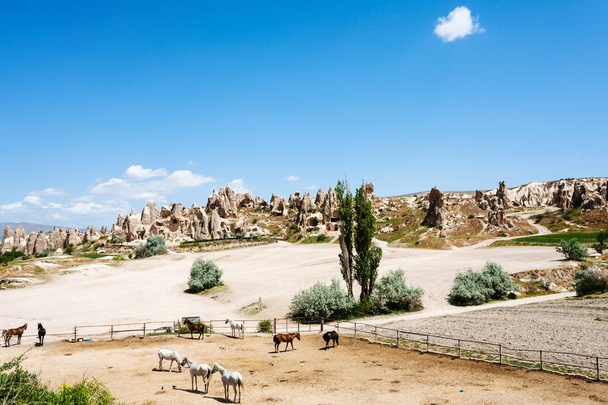 Matkustaa Turkkiin - hevonen paddock lähellä antiikin luostarin ratkaisun lähellä Goreme kaupungin Cappadocia keväällä
 - Valokuva, kuva
