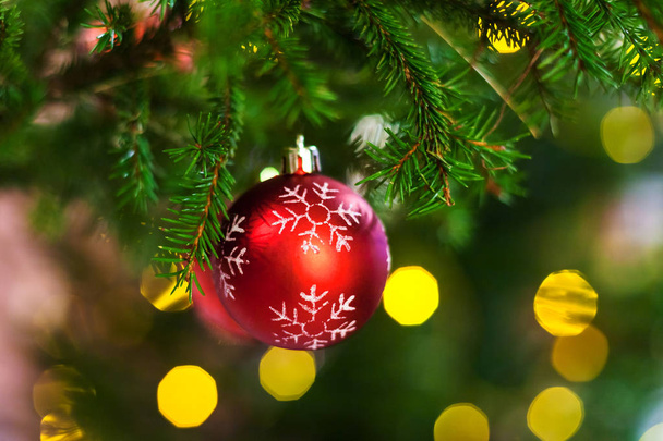 Xmas background - red ball with snowflake on natural christmas tree twig indoor - Valokuva, kuva