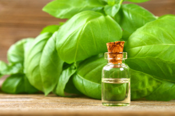 Una botella de aceite esencial de albahaca con hojas de albahaca fresca sobre una mesa
 - Foto, imagen