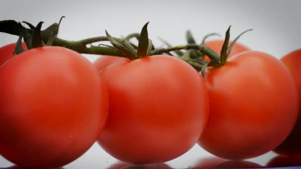 Tomates cherry en rotación, lazo
 - Metraje, vídeo