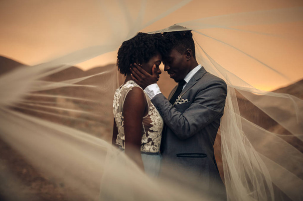 Black happy newlyweds stand under bridal veil and embrace in canyon against beautiful landscape at sunset. - Foto, Bild