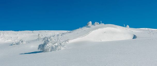 Paysage panoramique de montagne calme d'hiver avec de beaux arbres givrants et des dérives de neige sur la pente (Carpates, Ukraine
) - Photo, image