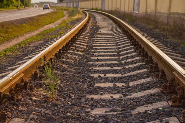 Rail tracks in the green field. - Foto, Bild
