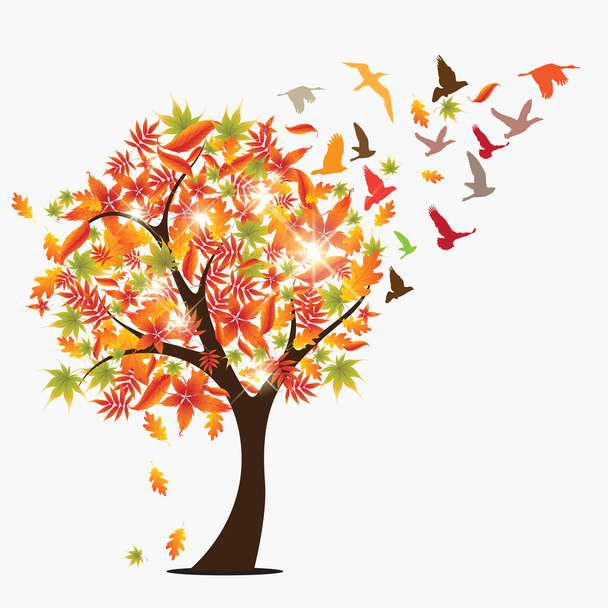 sonbahar ağacı - Vektör, Görsel