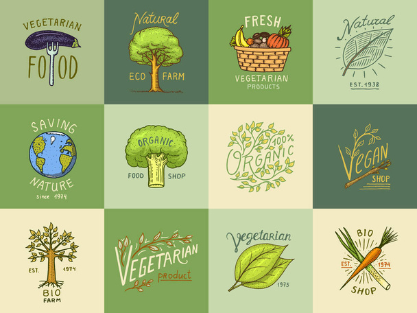 Terveellisiä luomuruokaa logot asettaa tai etiketit ja elementit kasvissyöjä ja Farm vihreät luonnolliset vihannekset tuotteita, vektori kuva. merkit terveellistä elämää. kaiverrettu käsin piirretty vanha luonnos
. - Vektori, kuva