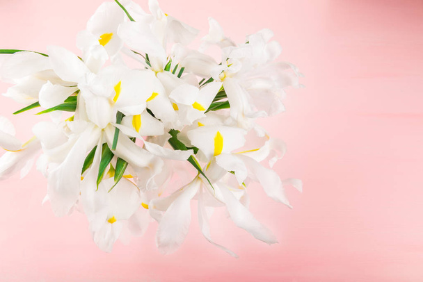 schöne weiße Irisblüten auf rosa Hintergrund, Draufsicht, Kopierraum - Foto, Bild