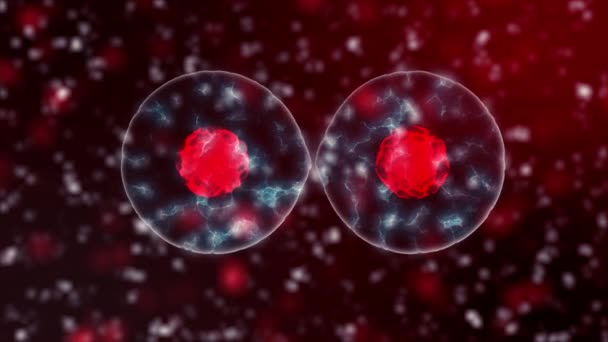 microbiologia da divisão de células sanguíneas com, células ou bactérias ao microscópio, laço sem emenda de base científica popular, 4K de alta definição 3840 X 2160
 - Filmagem, Vídeo