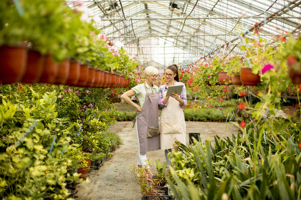 Kaksi vanhempi ja nuori moderni kukkakauppias naiset valitsevat kukkia etsiessään ohjeita tabletti
 - Valokuva, kuva