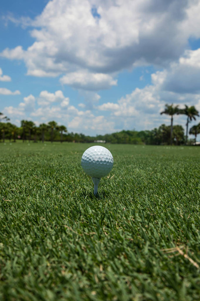 Boule de golf attachée sur un tee sur le vert sous un ciel bleu en été en Floride
 - Photo, image