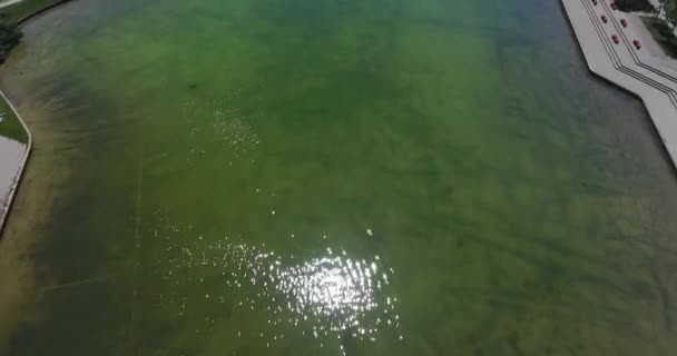 Shora dolů letecký pohled z jezera v parku - Záběry, video