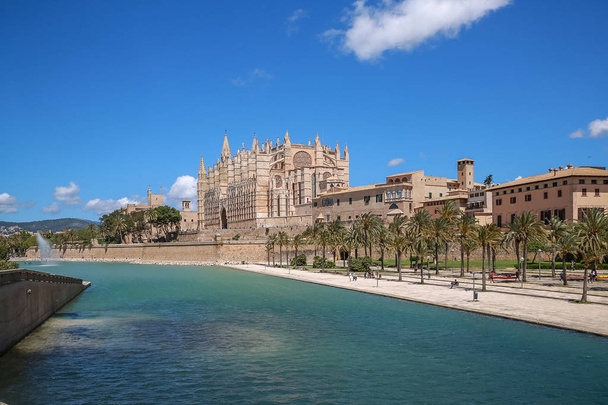 パルマ マヨルカ島スペインの大聖堂 - 写真・画像