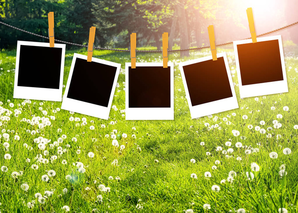 Spring or summer nature background with blanks of photo on clothesline - Photo, Image