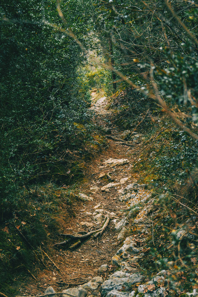Weg aus Schmutz und Steinen mitten im Berg in der Natur - Foto, Bild