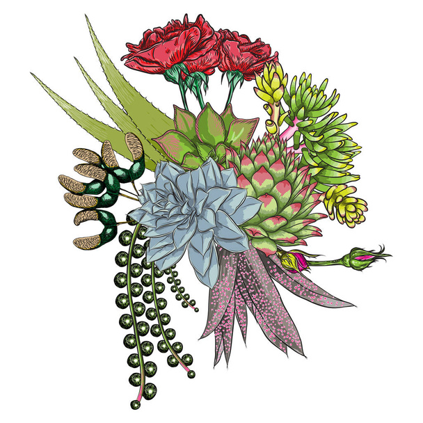 Exotic bouquet set. Flowers. Floral collection with various plants. Sansevieria, snake plant, Red ginger, ostrich plume, pink cone, daisy, roses. Hand drawn illustration. Vector. - Διάνυσμα, εικόνα