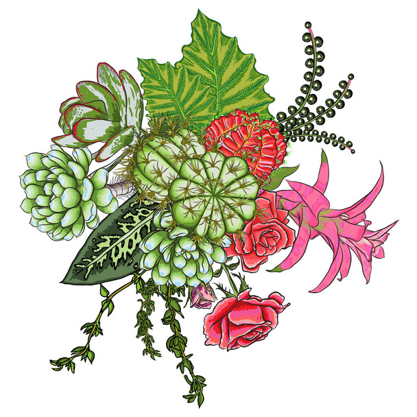 Exotic bouquet set. Flowers. Floral collection with various plants. Sansevieria, snake plant, Red ginger, ostrich plume, pink cone, daisy, roses. Hand drawn illustration. Vector. - Wektor, obraz
