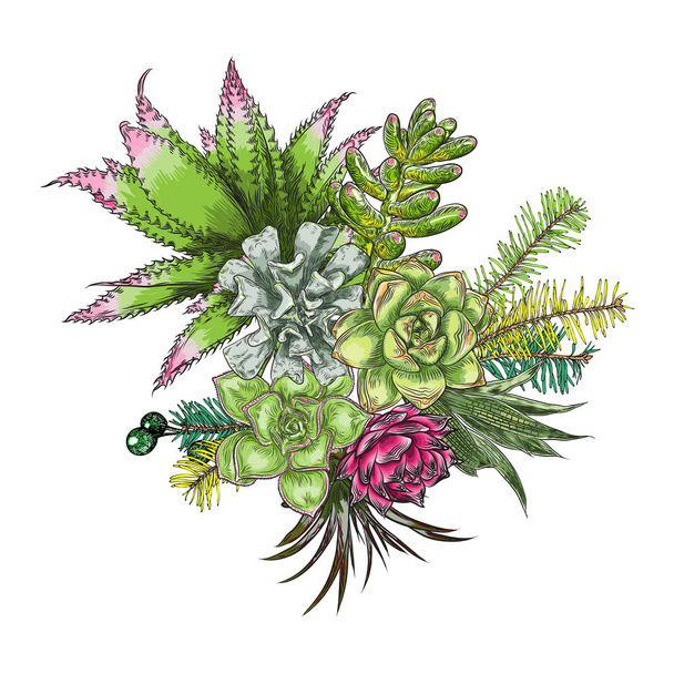 Flowers bouquet. Floral collection with various exotic jungle plants. Air plant, cactus, succulent, Bromelia, aloe vera, Houseplant, roses. For wedding and women day cards design purpose. Vector. - ベクター画像