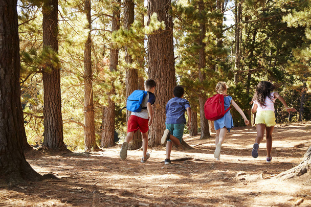 Kinder laufen auf Waldweg auf Wanderabenteuer - Foto, Bild
